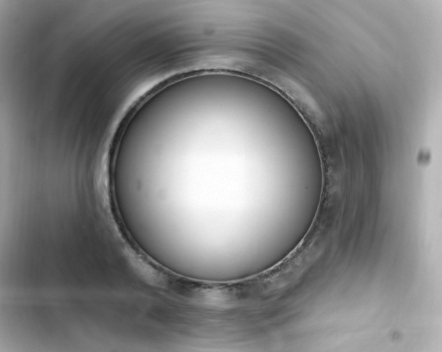 X0000103930792200809191349