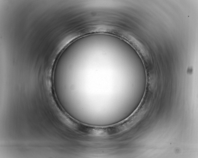 X0000103930794200809191349