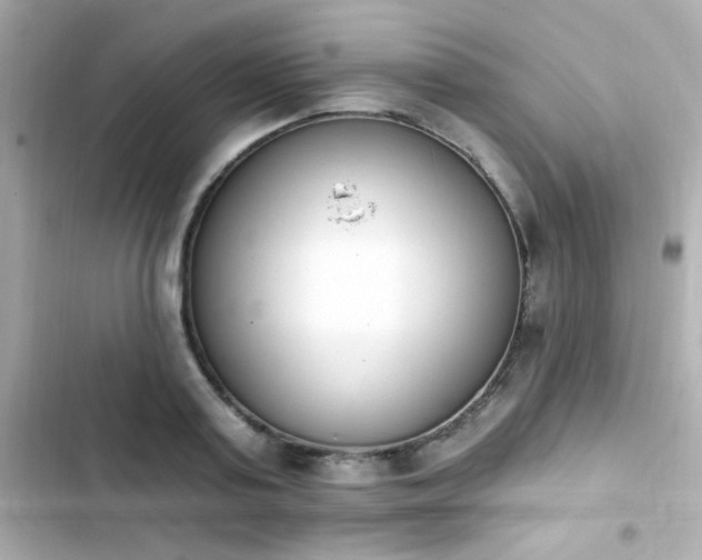 X0000103930795200809191349