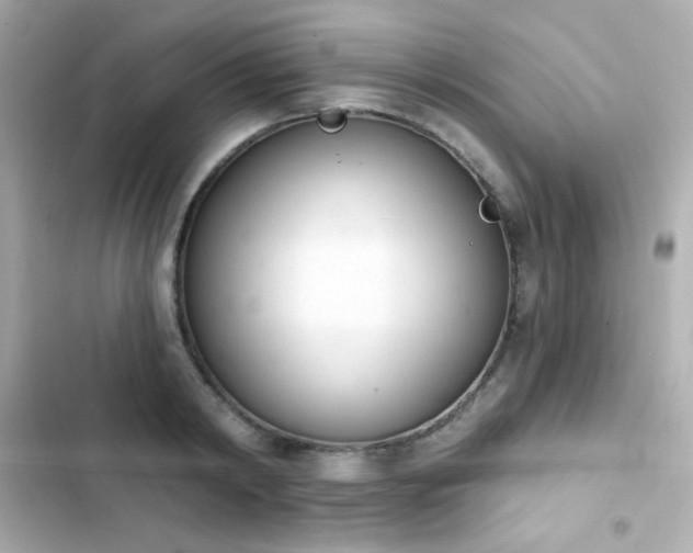 X0000103930798200809191349