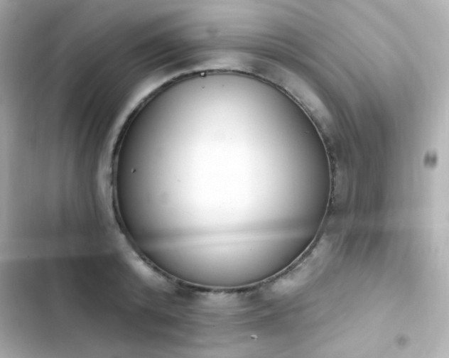 X0000103930800200809191349