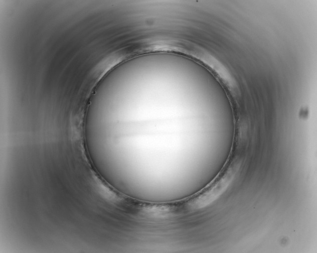 X0000103930801200809191349