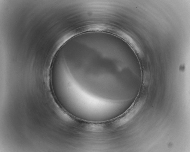 X0000103930802200809191349
