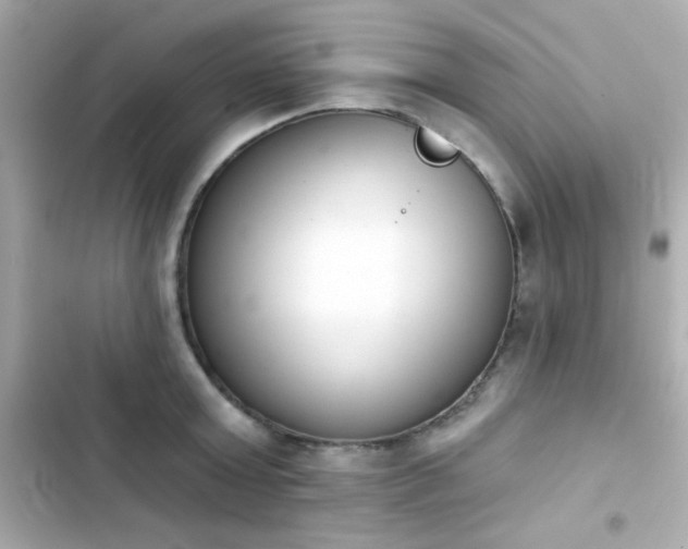 X0000103930803200809191349