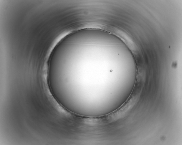 X0000103930804200809191349