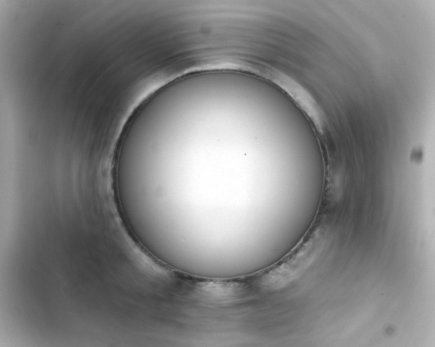 X0000103930805200809191349