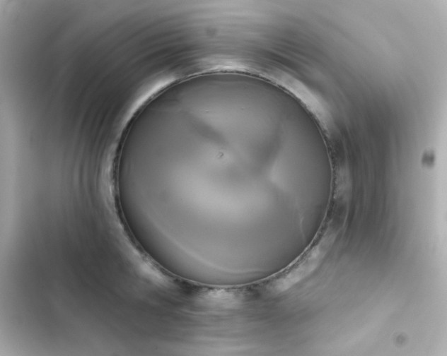 X0000103930806200809191349