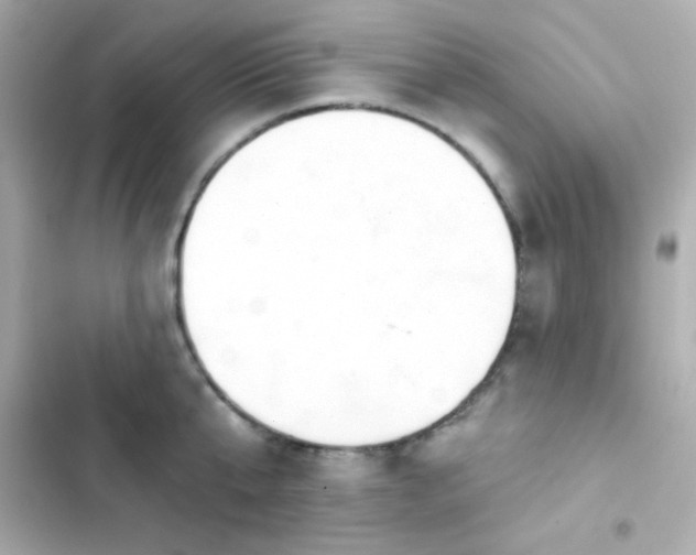 X0000103930807200809191349