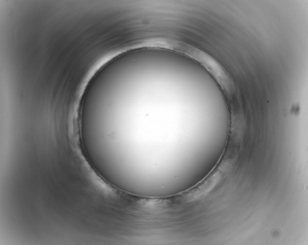 X0000103930808200809191349