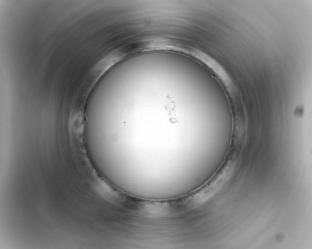 X0000103930809200809191349