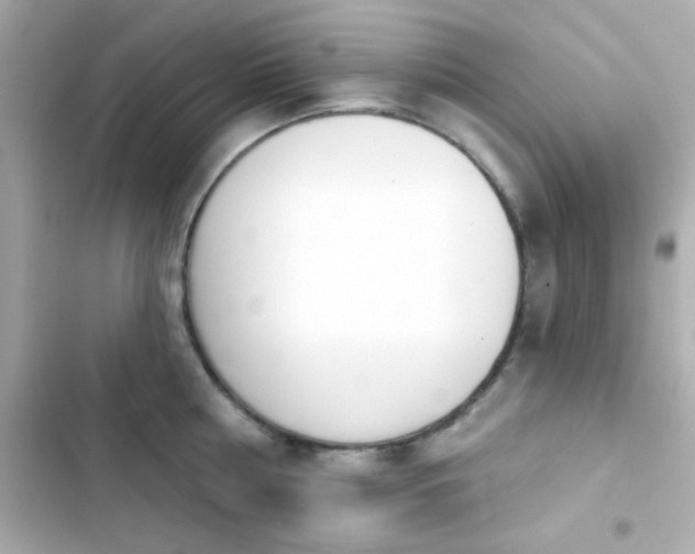 X0000103930810200809191349