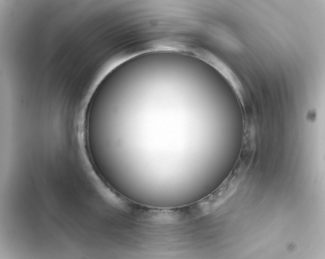 X0000103930811200809191349