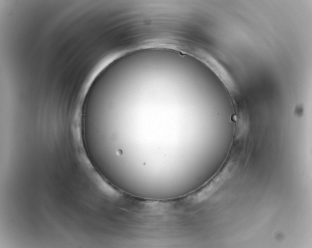 X0000103930812200809191349