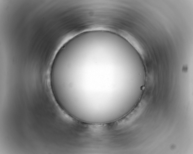 X0000103930813200809191349