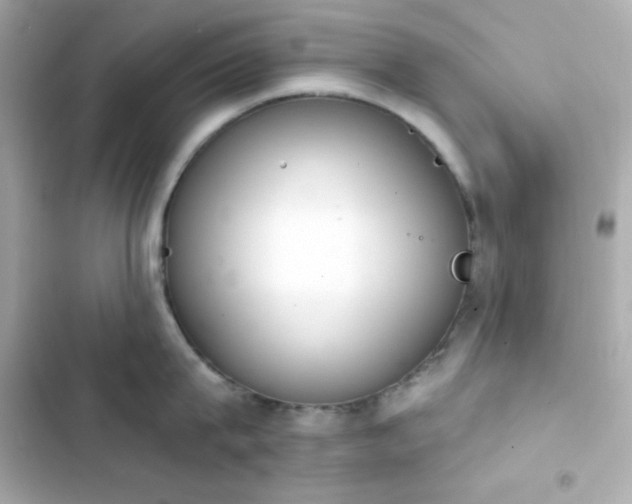 X0000103930815200809191349