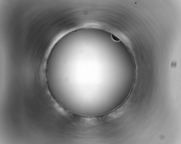 X0000103930816200809191349