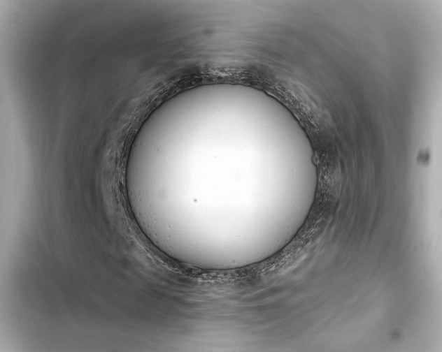 X0000103930817200809191348