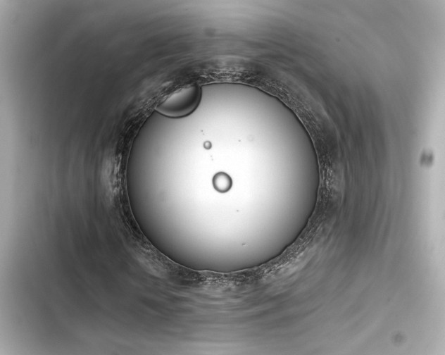 X0000103930818200809191348