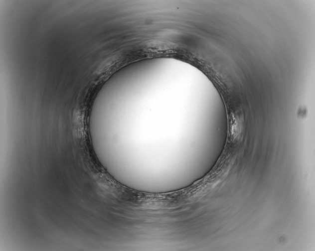 X0000103930819200809191348