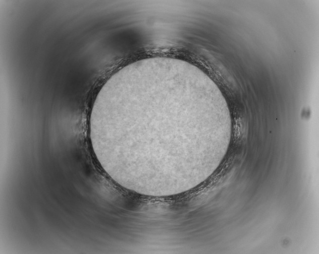X0000103930820200809191348