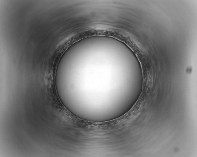 X0000103930821200809191348