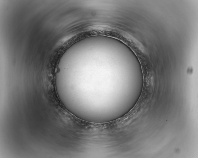X0000103930822200809191348