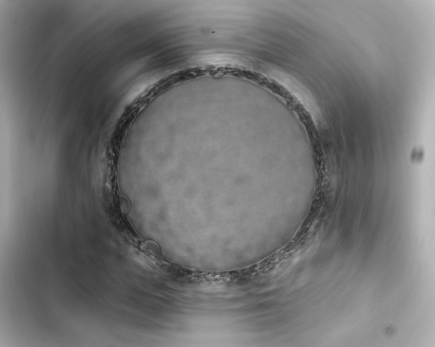 X0000103930823200809191348