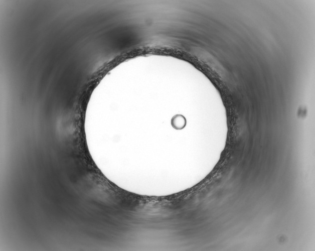 X0000103930824200809191348