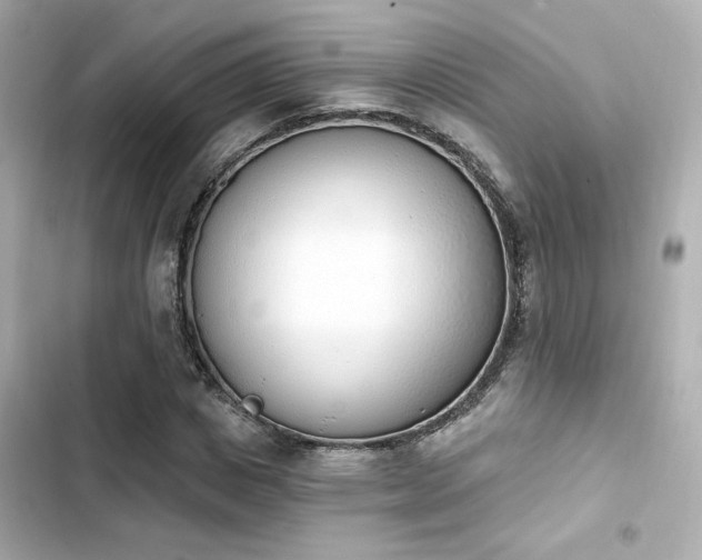 X0000103930825200809191348
