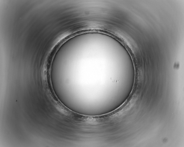 X0000103930827200809191348