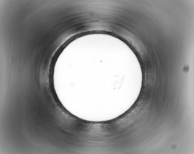 X0000103930828200809191348