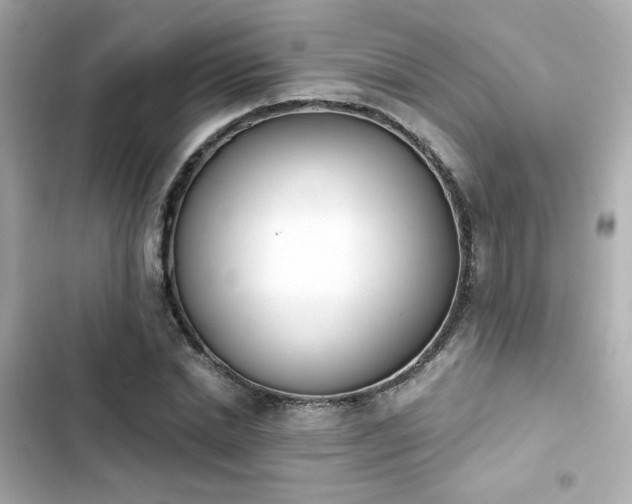 X0000103930830200809191348