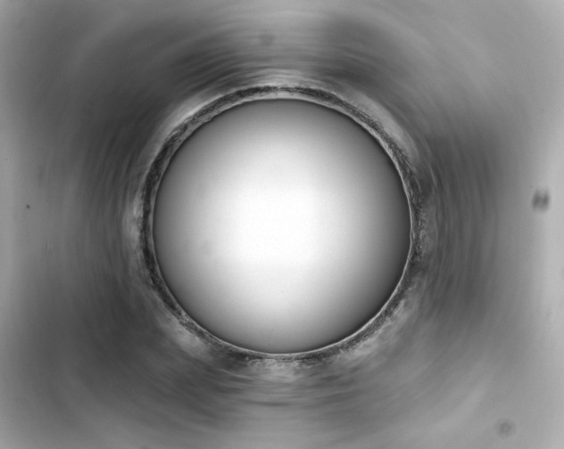 X0000103930831200809191348
