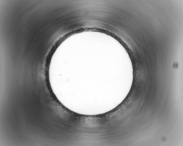 X0000103930832200809191348