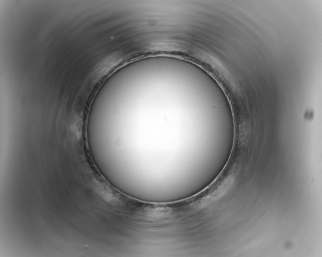 X0000103930833200809191348