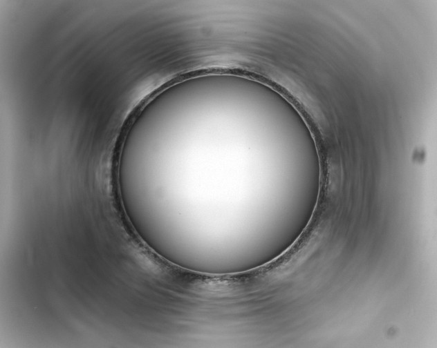 X0000103930834200809191348