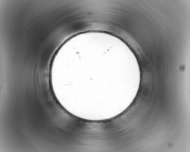 X0000103930836200809191348