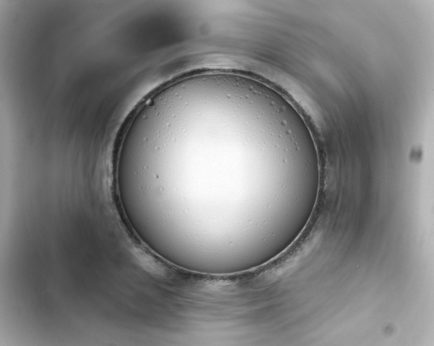 X0000103930837200809191348
