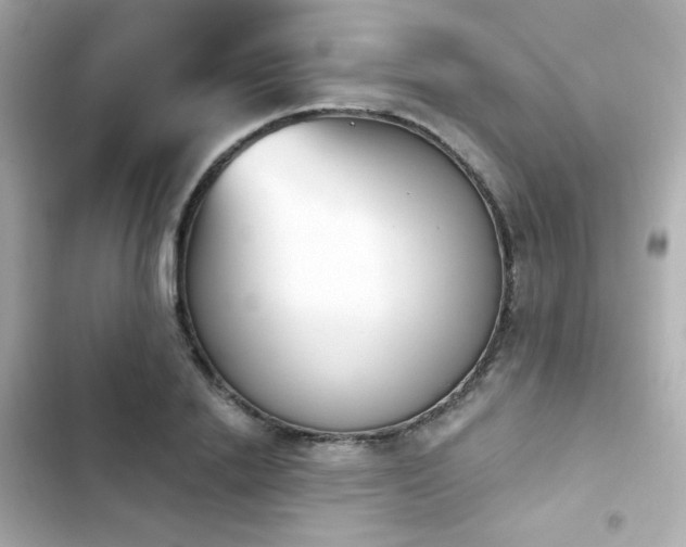 X0000103930838200809191348
