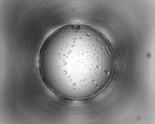 X0000103930839200809191348