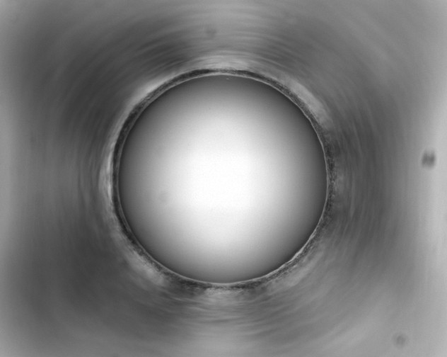 X0000103930840200809191348