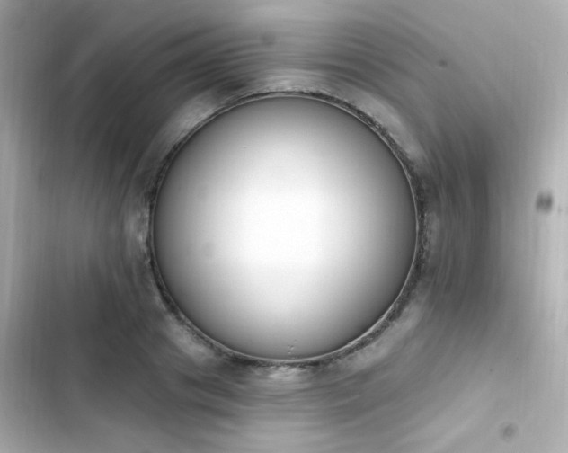 X0000103930841200809191348
