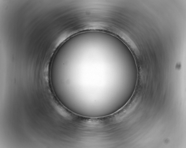X0000103930842200809191348