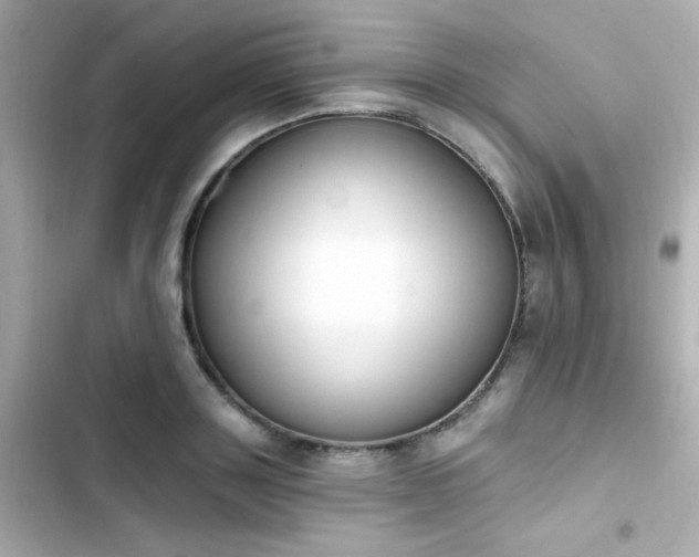 X0000103930843200809191348