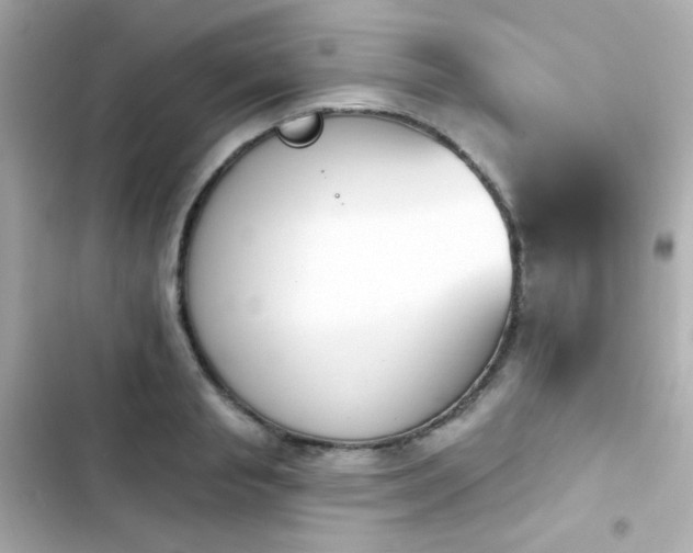 X0000103930845200809191348