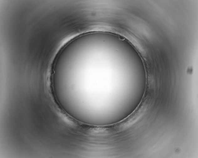 X0000103930846200809191348