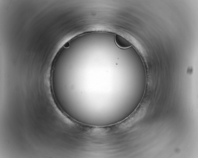 X0000103930847200809191348