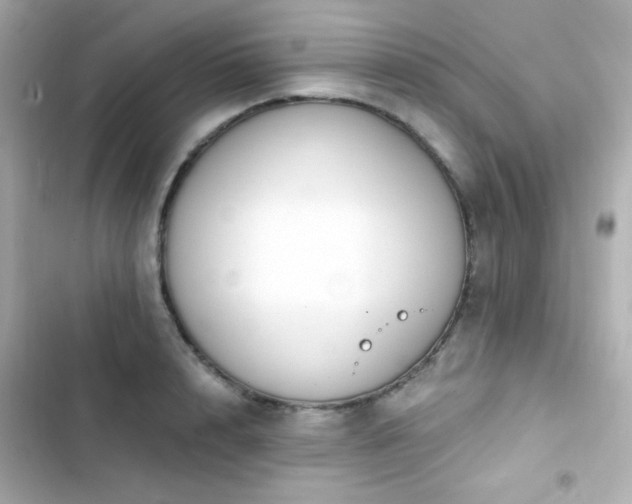 X0000103930848200809191348