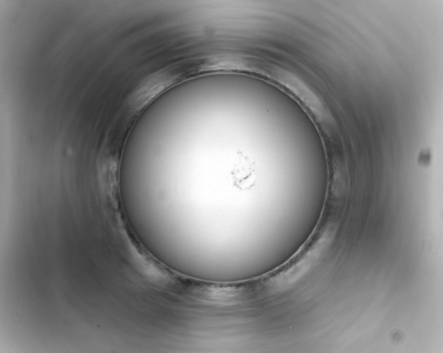 X0000103930849200809191348