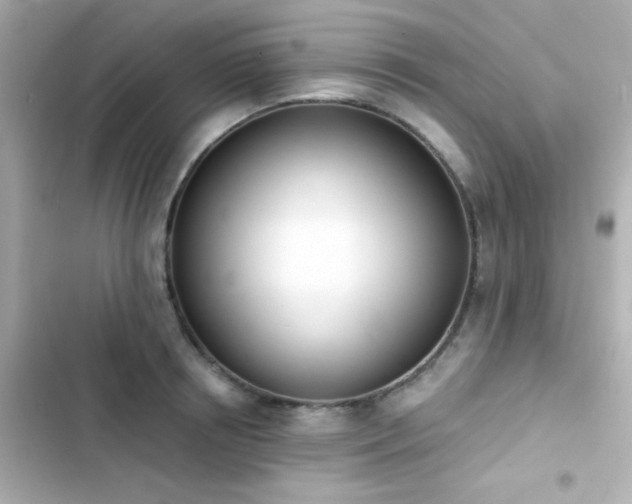 X0000103930850200809191348